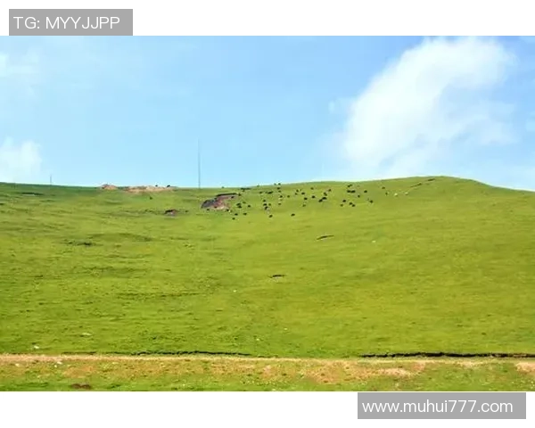 足球明星与海洋共舞 探寻绿茵场之外的心灵之旅